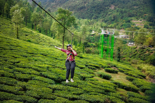 Wayanad Tour: Adventurous Zip Line Experience in Hillside Tea Plantation